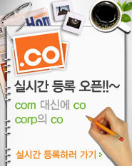 .co 도메인